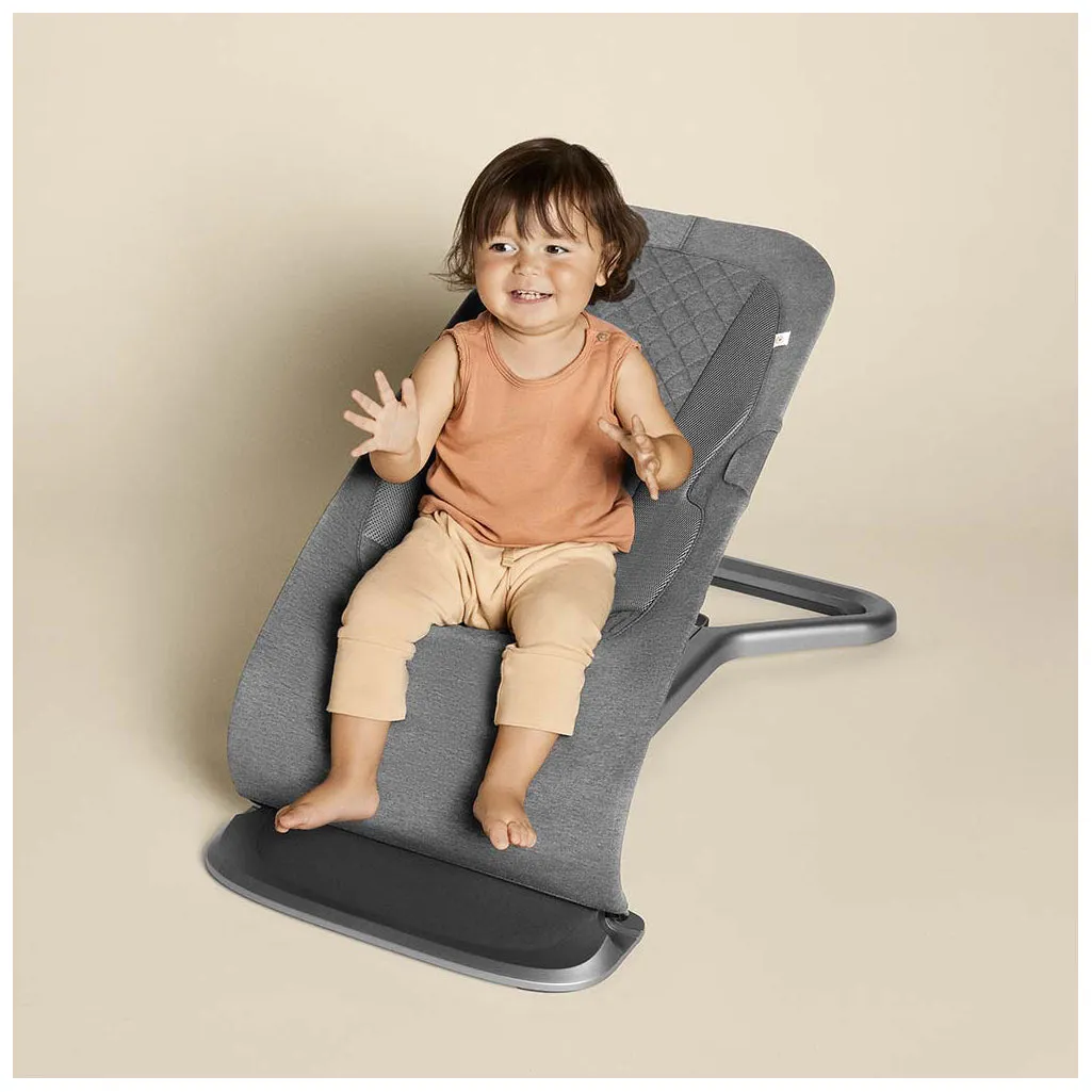 Ergobaby Evolve Bouncer